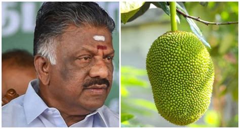 குலுக்கல் .